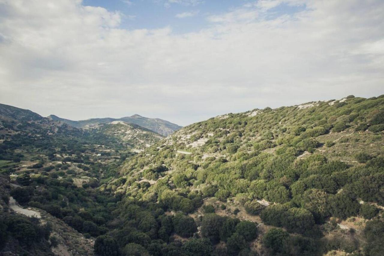 Traditional Inn Pirethron Apérathos Dış mekan fotoğraf